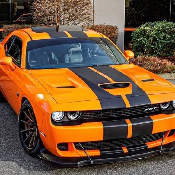 Meet your Posher, Jethro - Picture 1 of 1